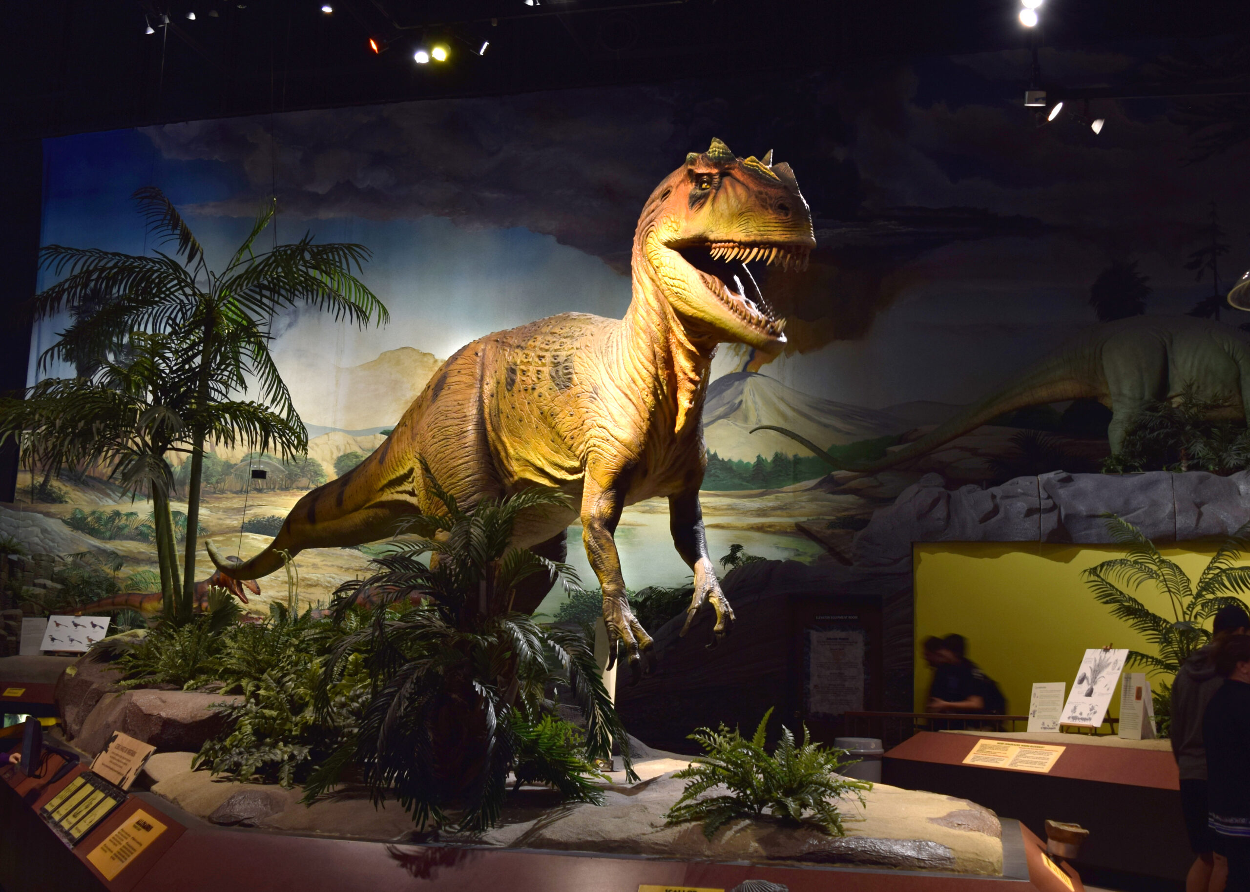 Reno Dinosaur Exhibit 2024 Bella Carroll