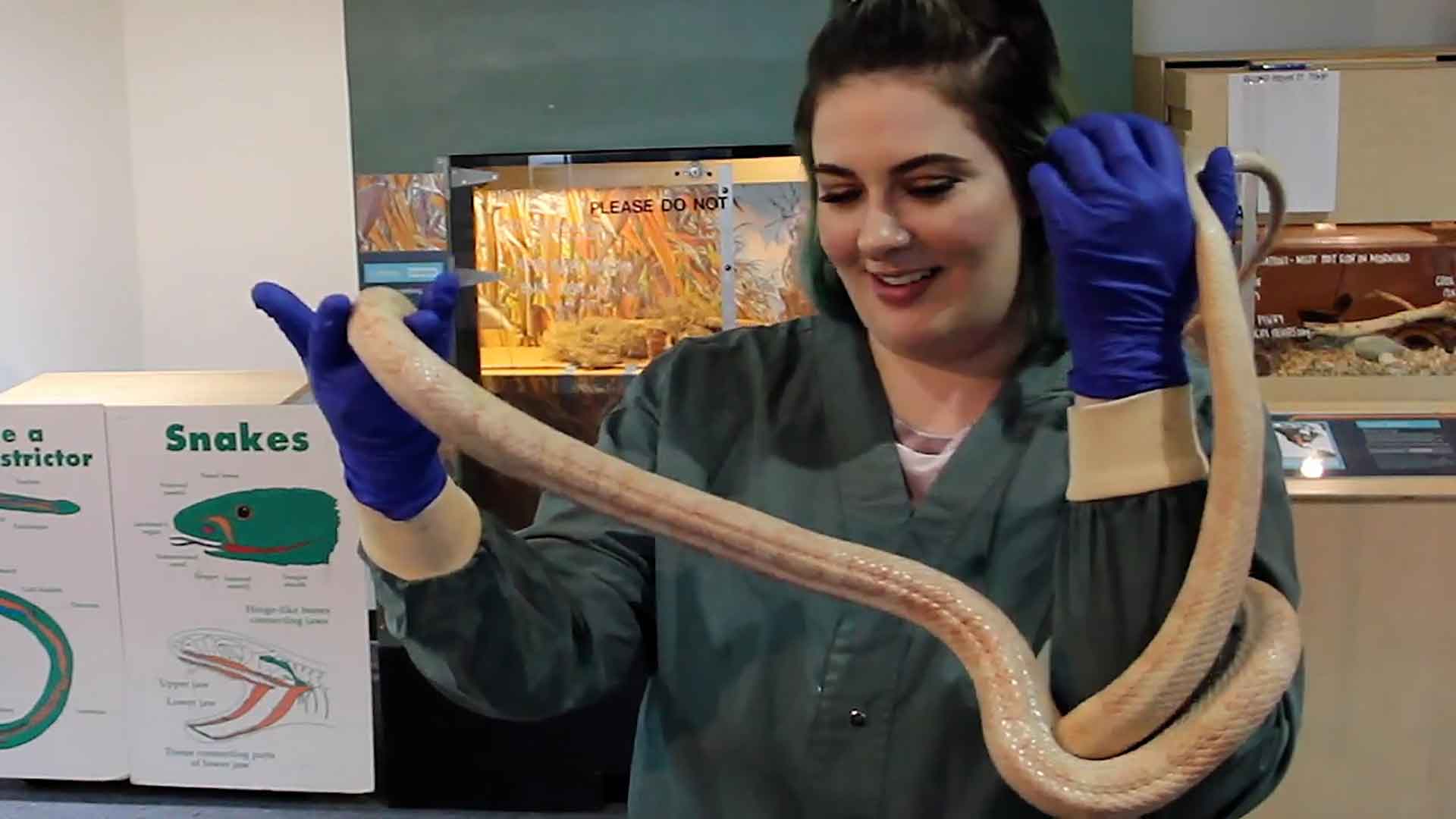 Rachel Nelson holding a corn snake