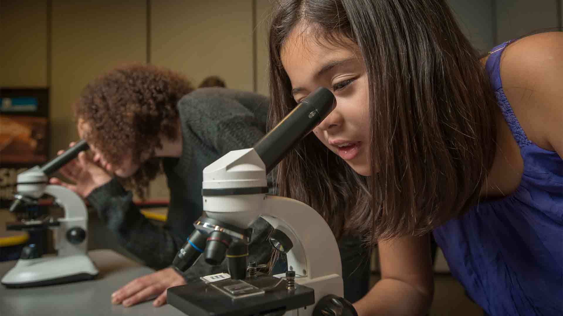 Two girls look through microscopes.