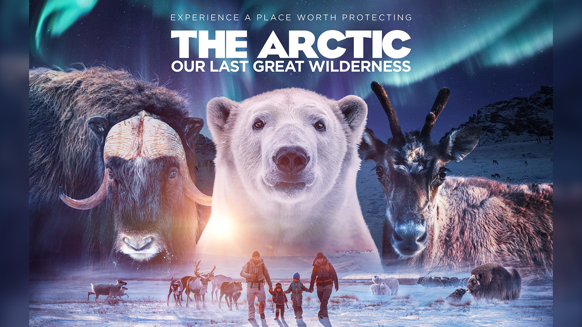 The Arctic documentary poster with animals and people in the foreground.