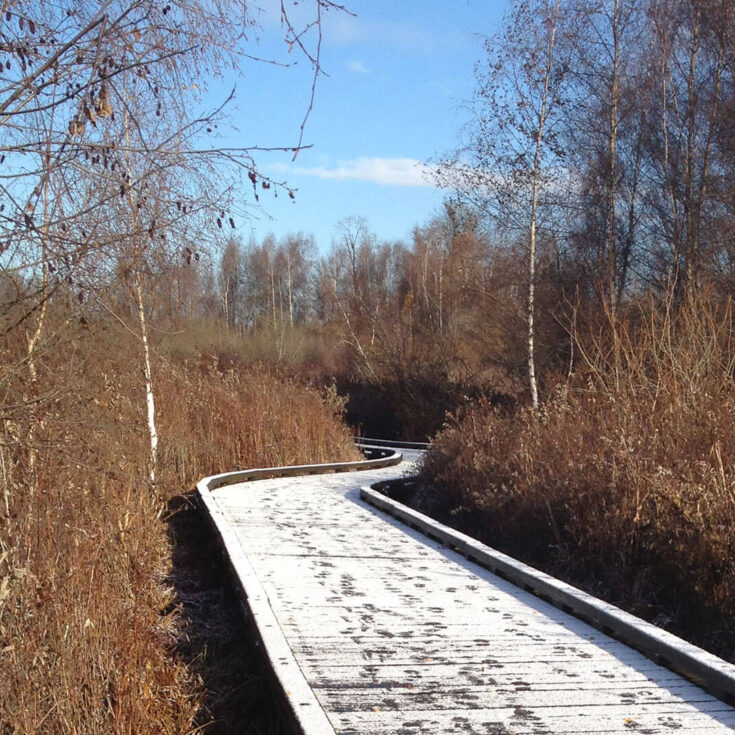 Sidewalk through Mercer Slough