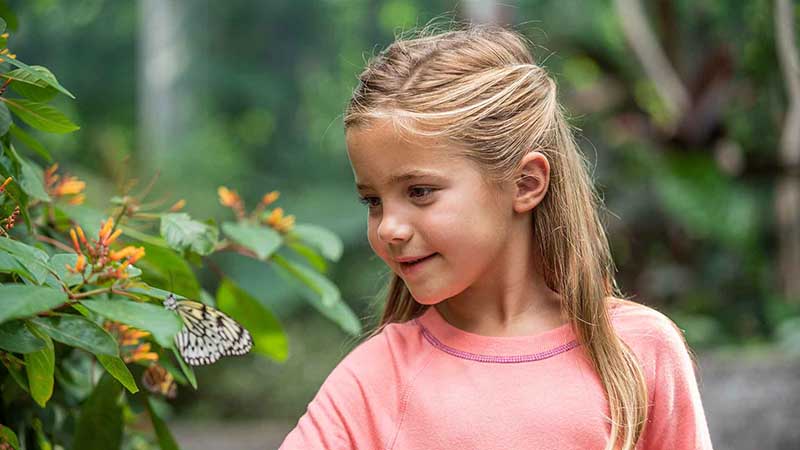 Girl in a pink shirt looking at a butterfly