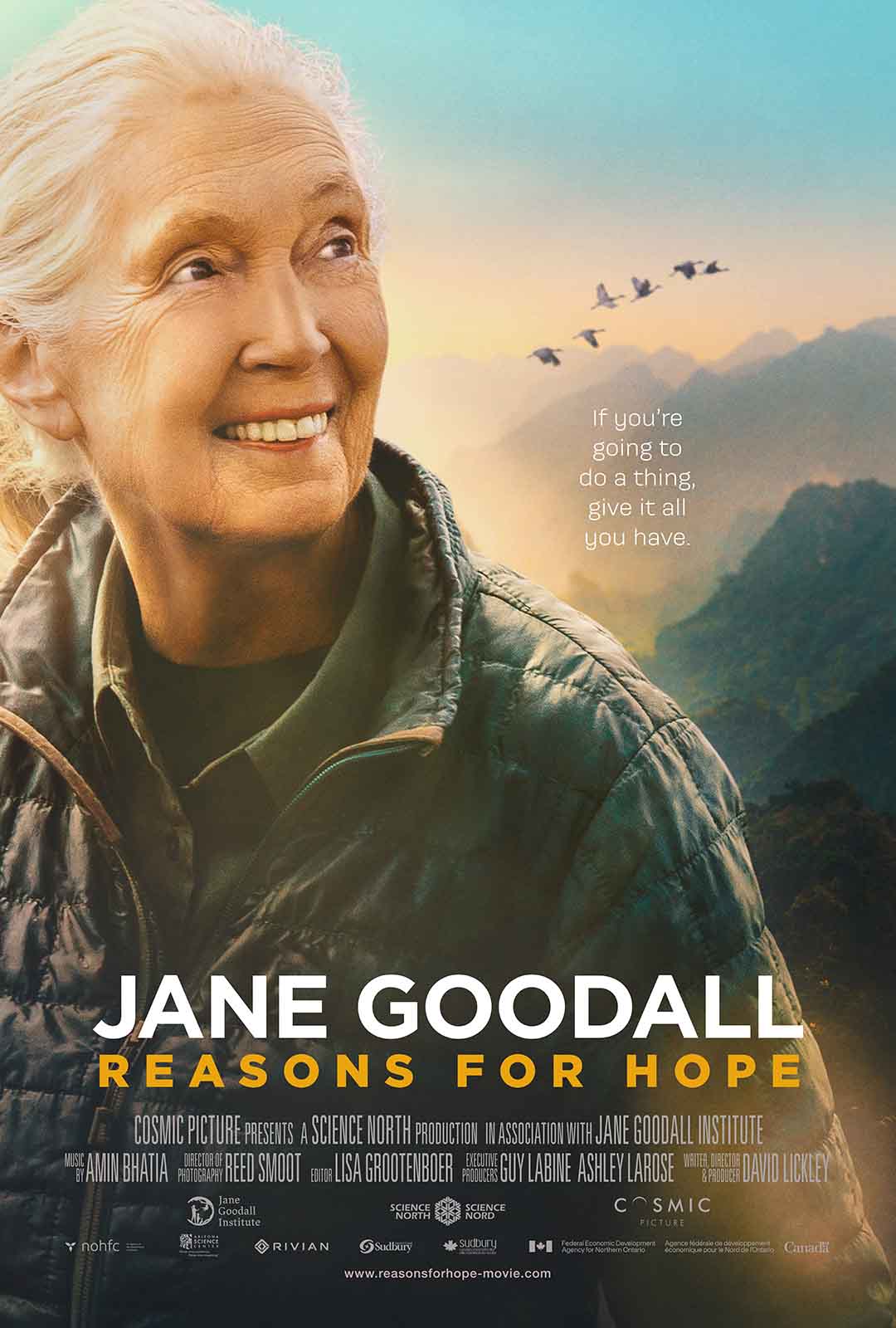 Jane Goodall on the web poster for Jane Goodall: Reasons for All