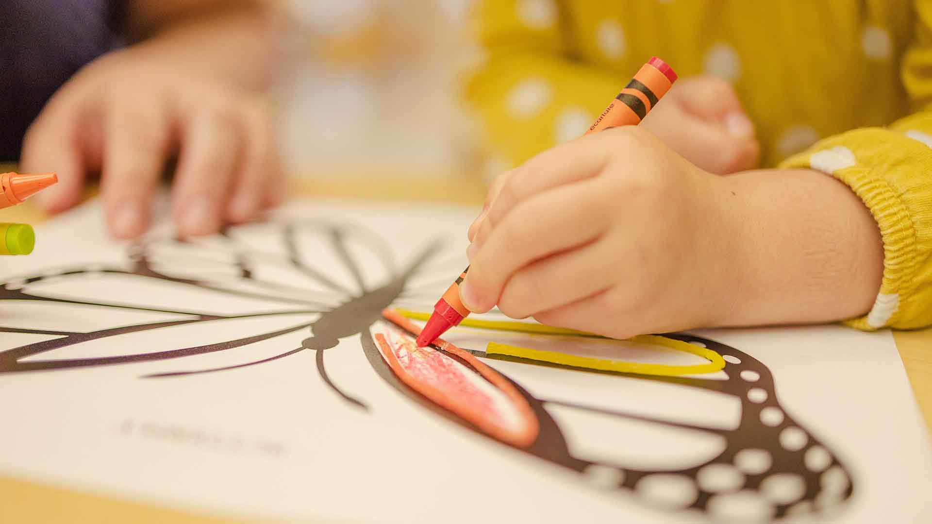Kid coloring a butterfly coloring sheet