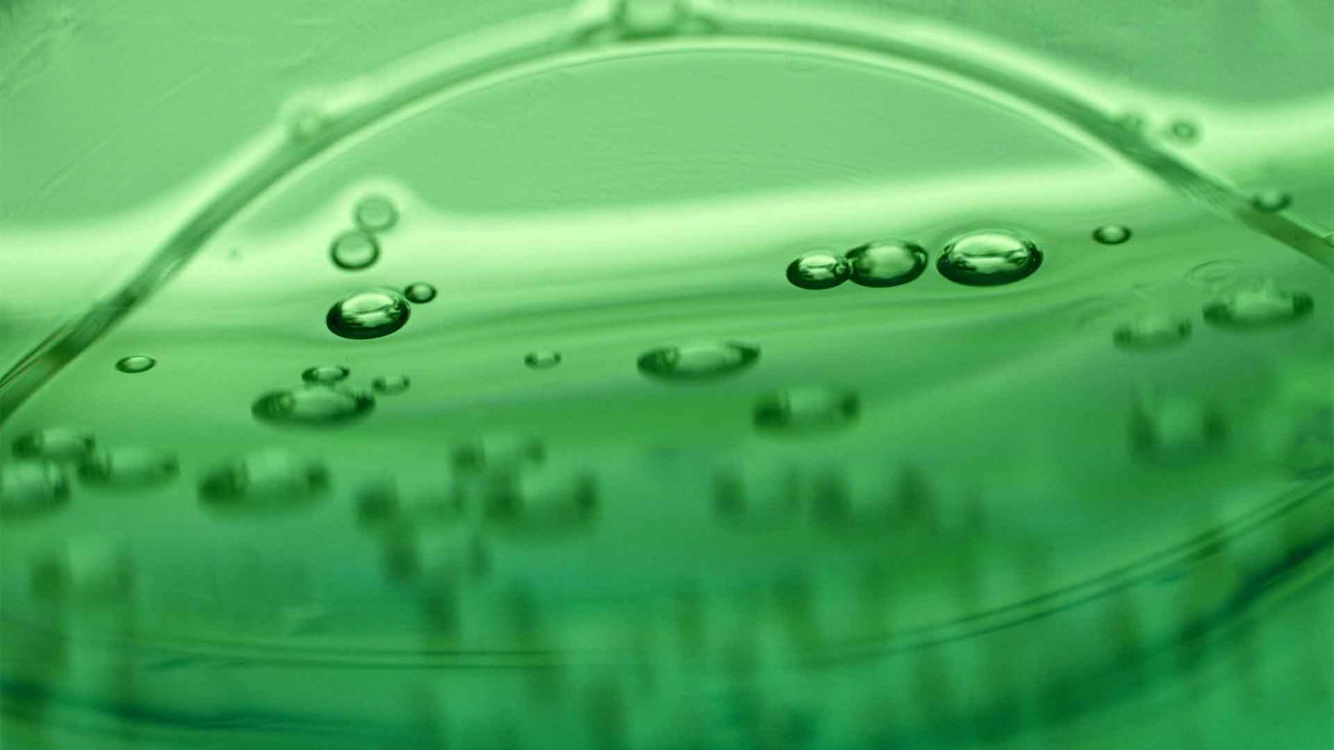 A green liquid-like substance with many bubbles in it