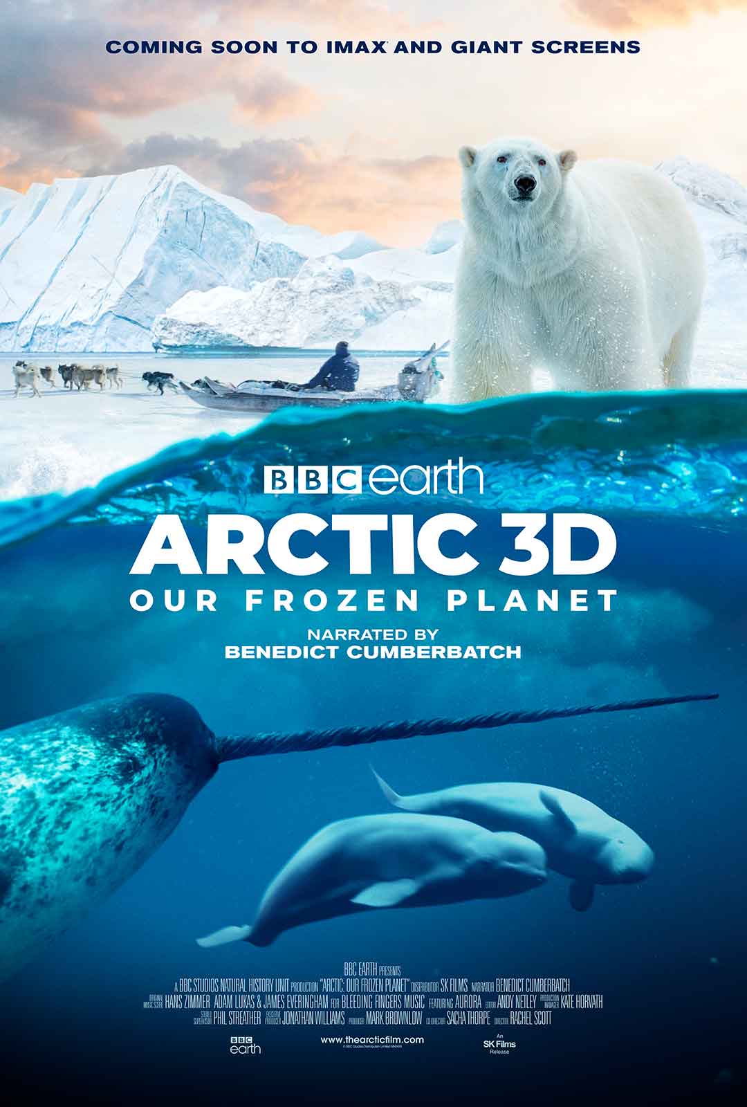 Arctic: Our Frozen Planet 3D poster with a polar bear and manatees
