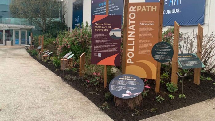 Pollinator Path in the PacSci courtyard