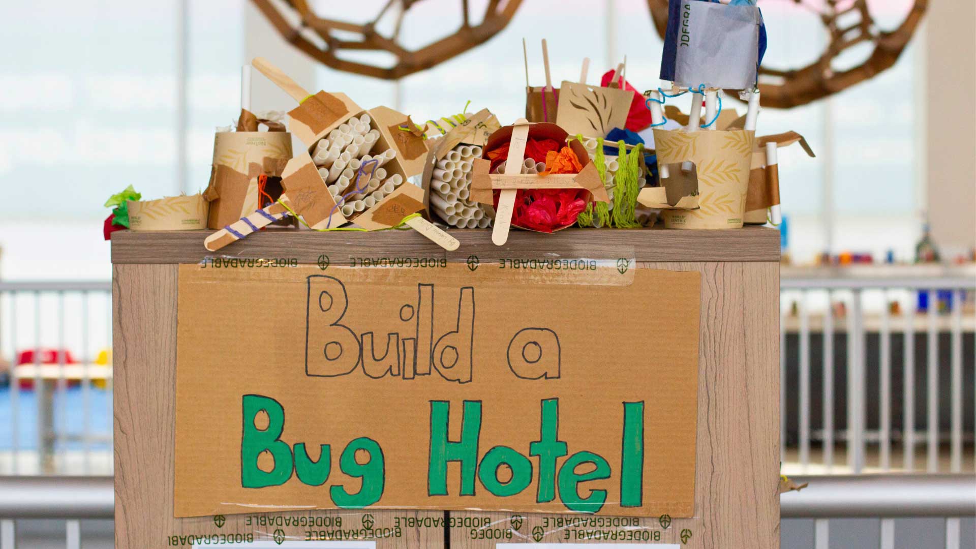 Cardboard with "Build a Bug Hotel" written on it