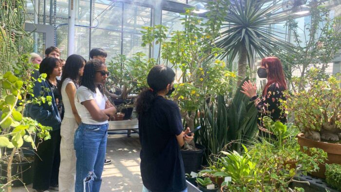 Discovery Corps members visiting the University of Washington botanical garden