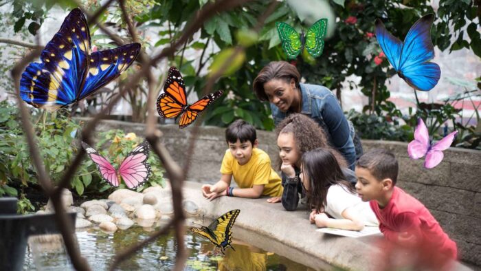 Family in the butterfly exhibit