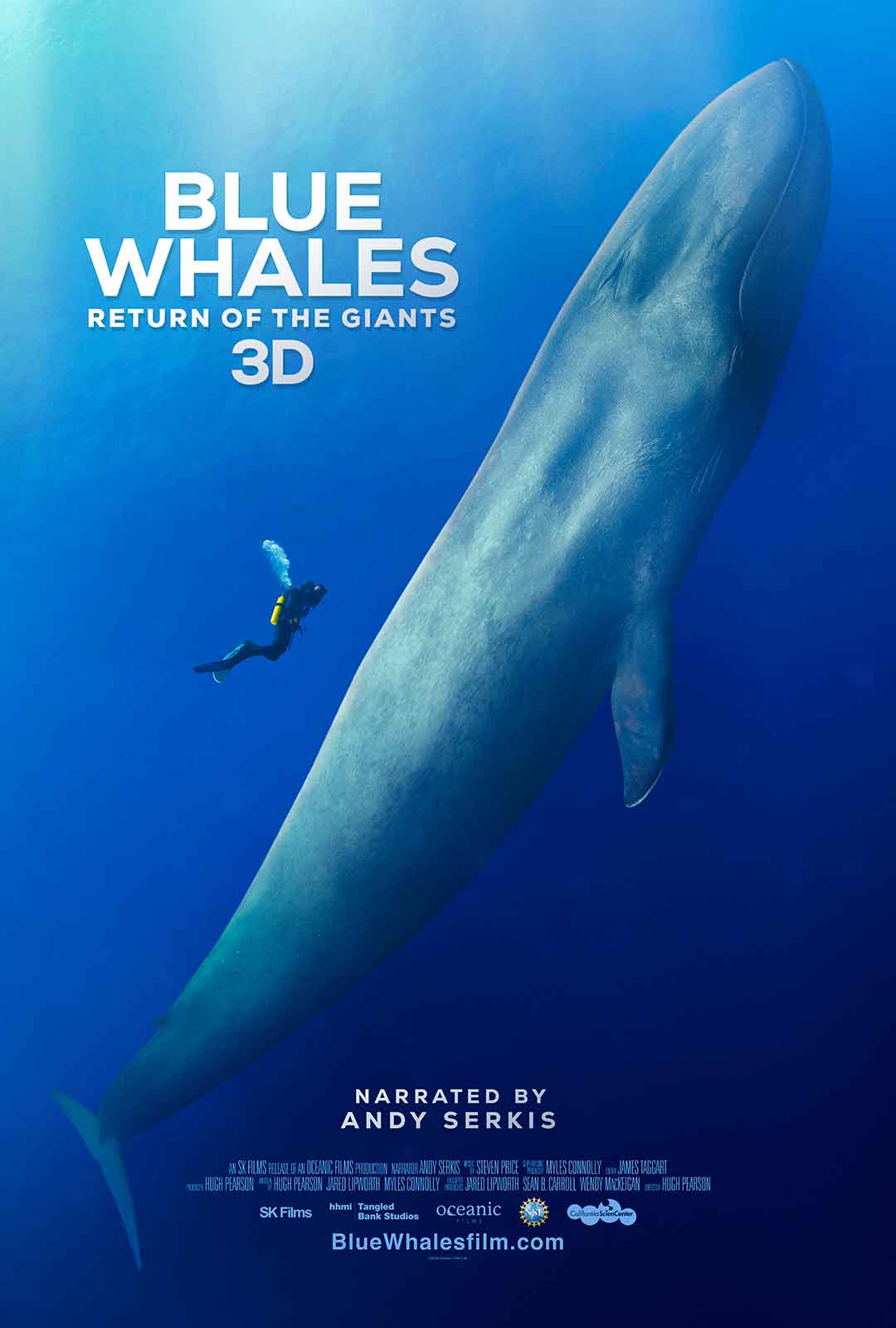 Blue Whales: Return of the Giants 3D poster with a diver and a blue whale