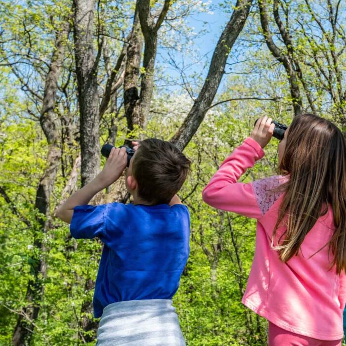 Two kids using binoculars in nature
