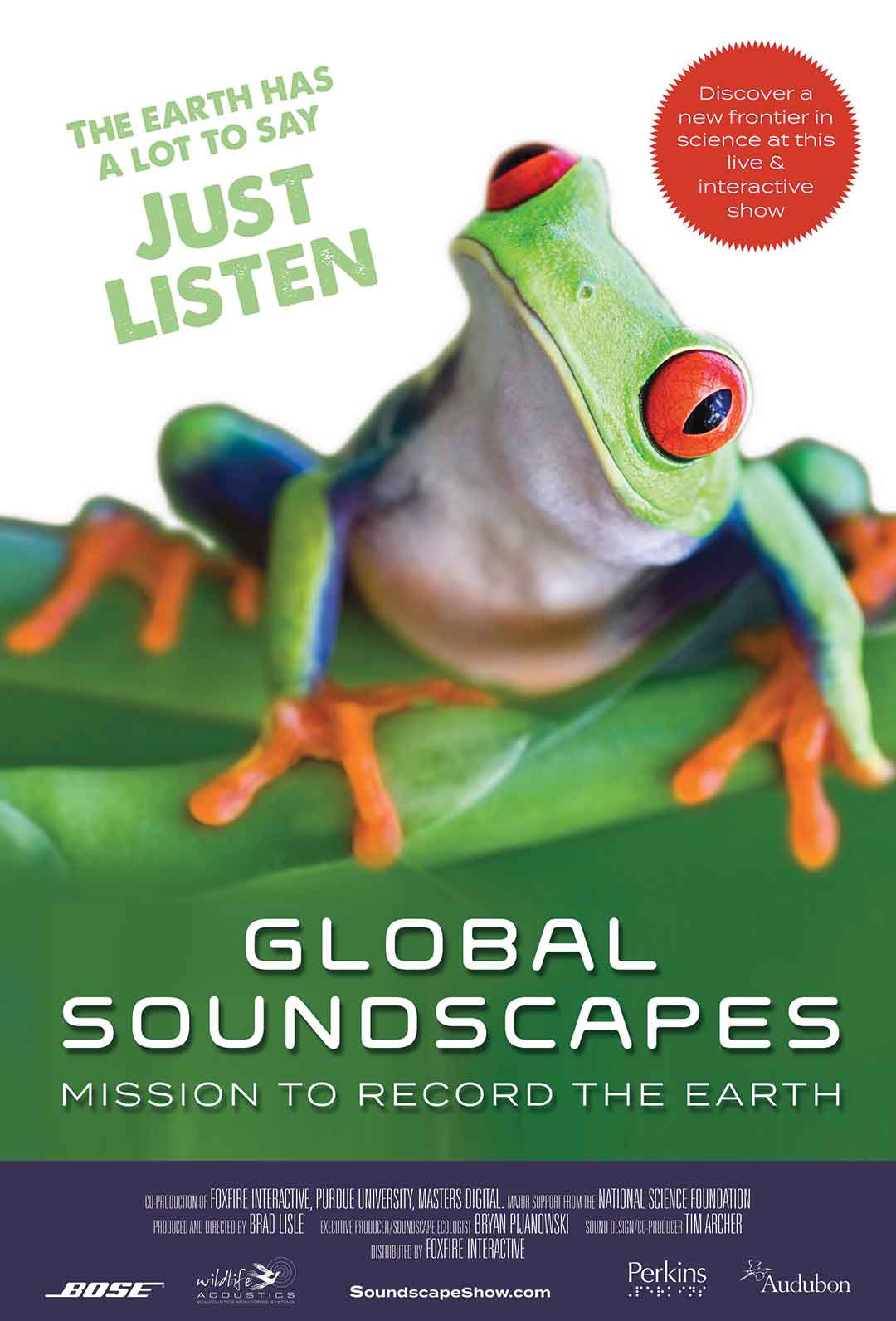 Frog on a leaf for IMAX documentary, Global Soundscapes: Mission to Record the Earth