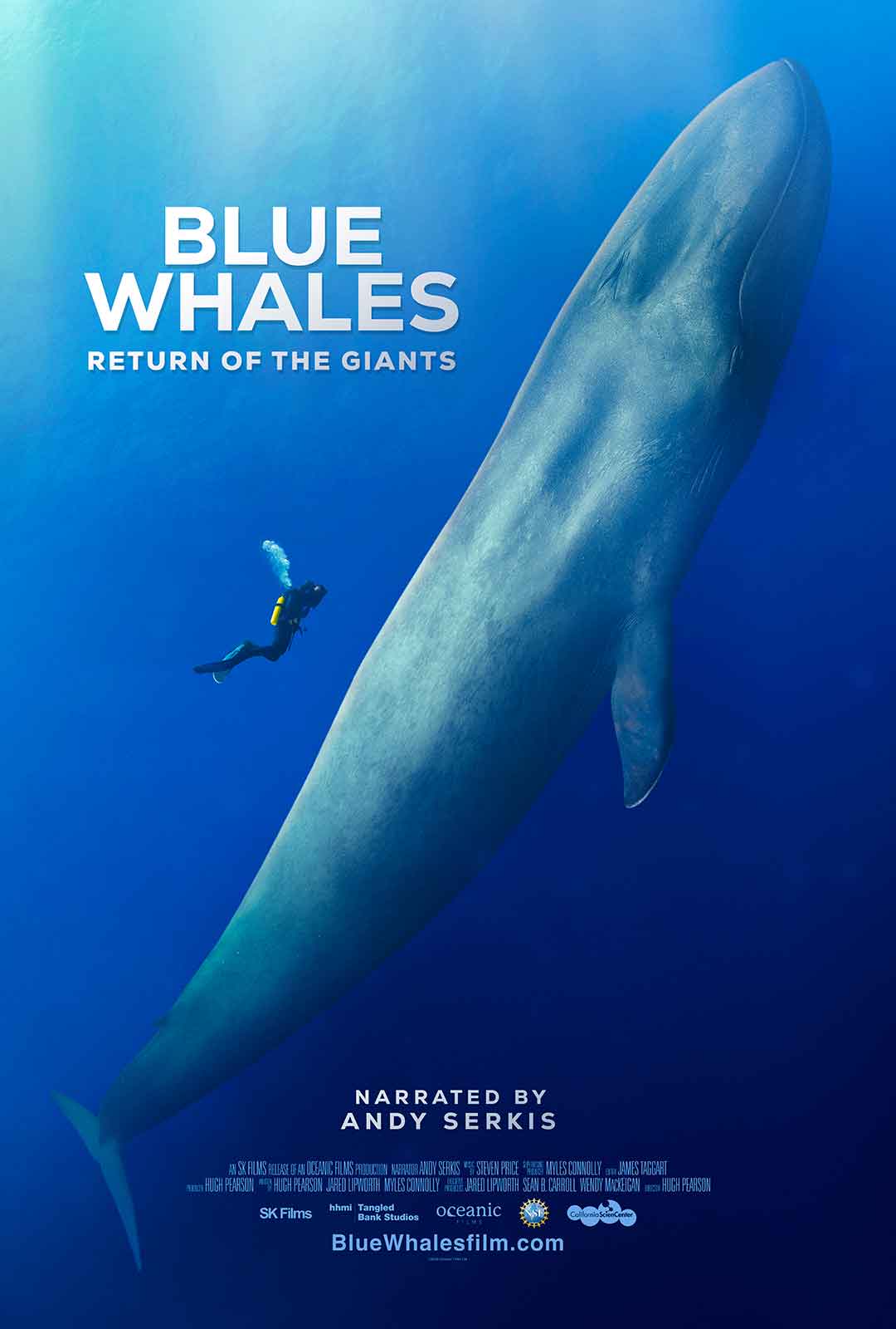 Blue Whales: Return of the Giants poster with a blue whales and scuba person