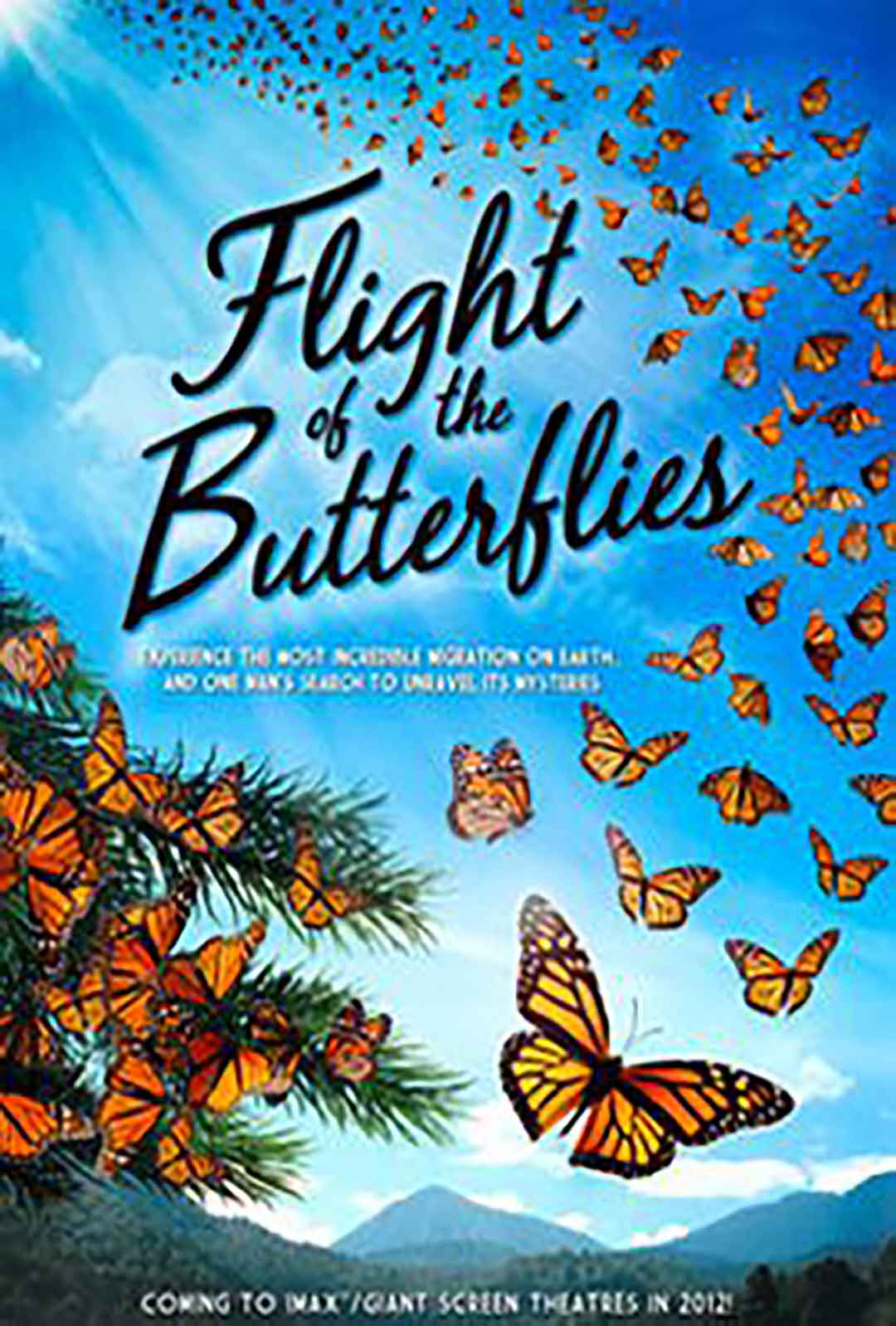 Flight of the Butterflies poster