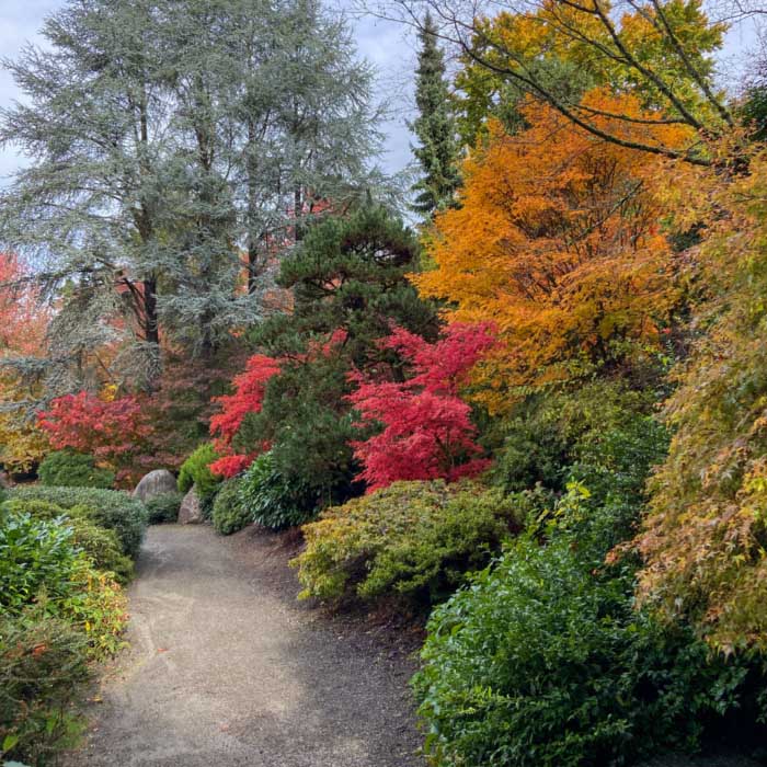Various trees and shrubs along path in Pacific Northwest