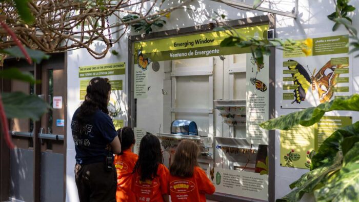 three camp for curious minds campers looking into the emerging window with their educator