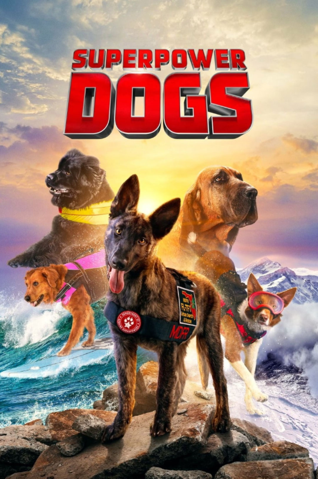 five dogs on the cover of Superpower Dogs