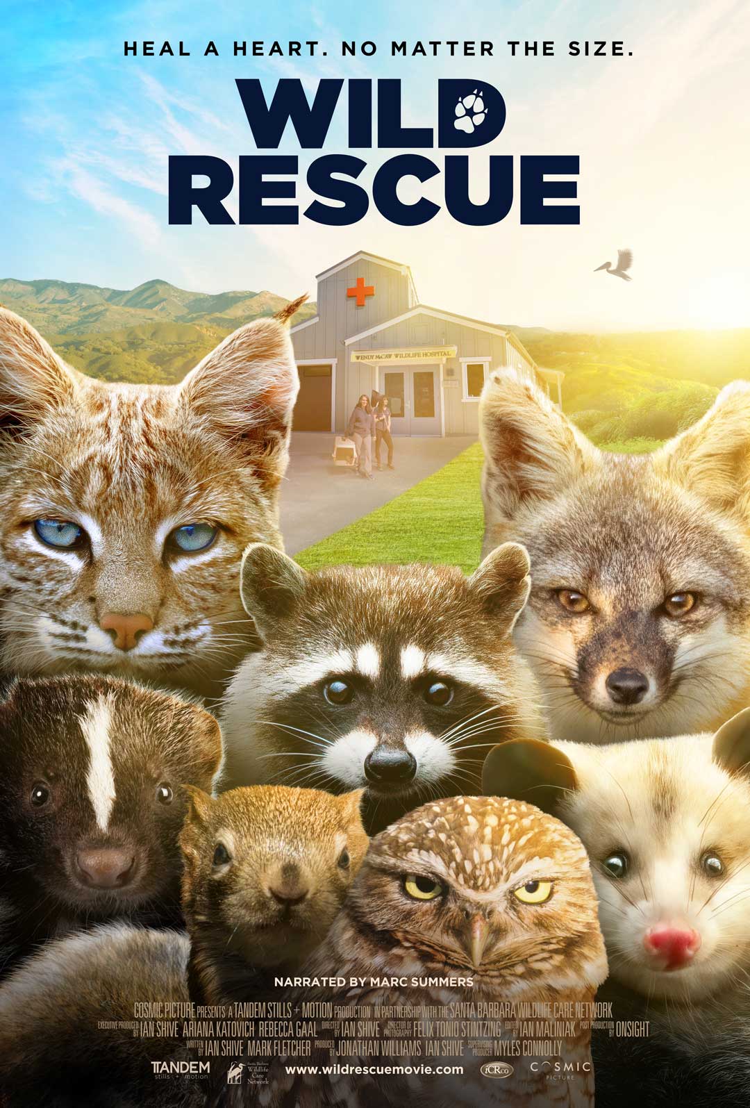 Wild Rescue poster