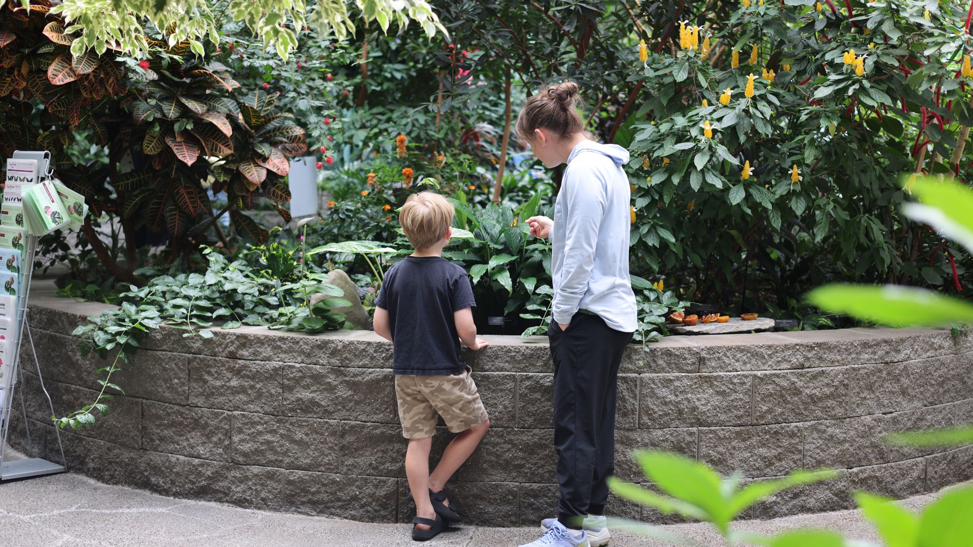 two people standing to look at a butterfly
