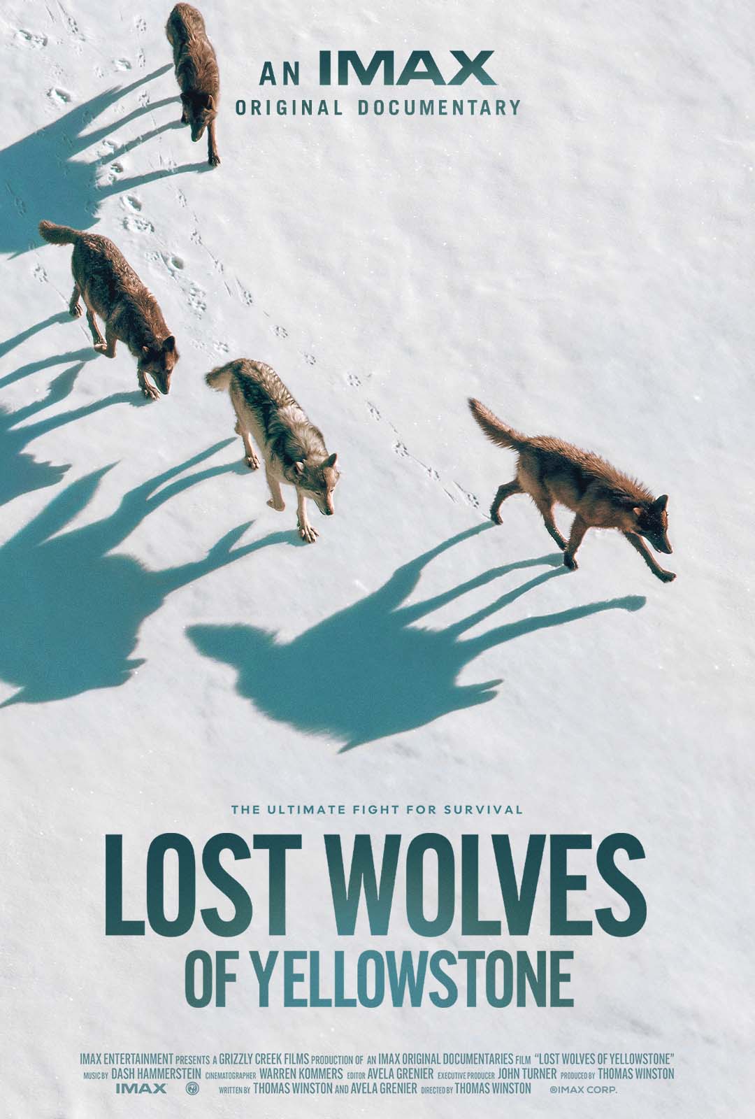 An IMAX Documentary Lost Wolves of Yellowstone