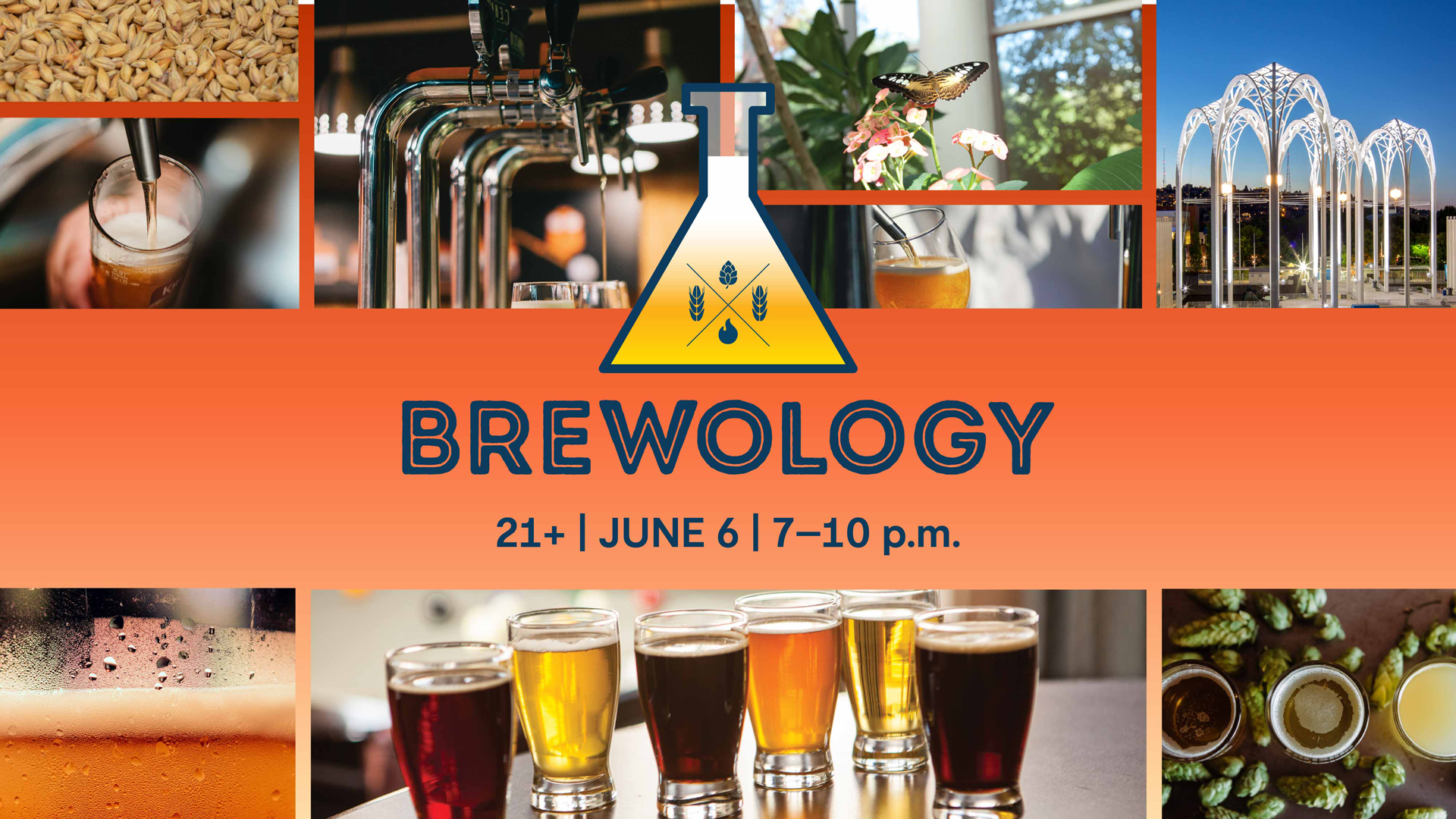 Brewology event