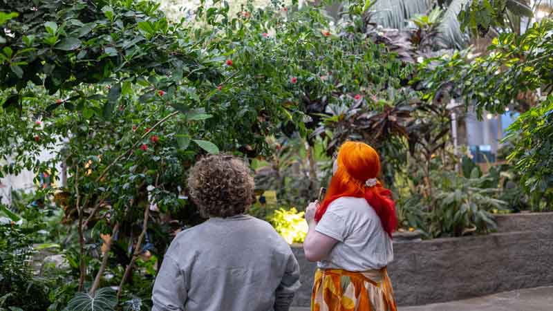 Two people in the Tropical Butterfly House